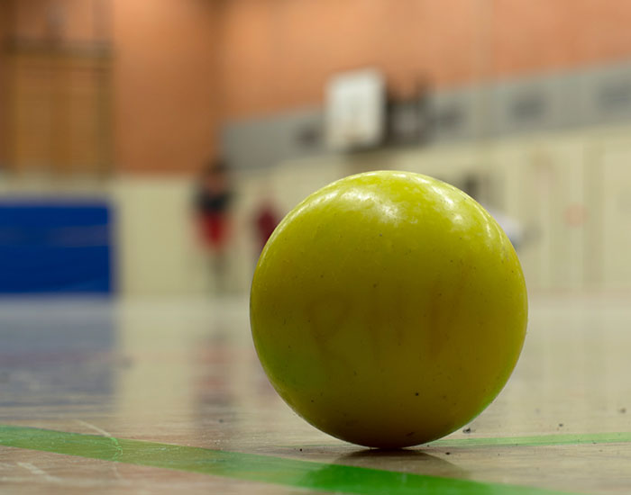 bhv_ball_700x550